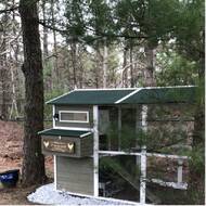 Coops And Feathers Extreme Walk In Hen Chicken Coop With Chicken Run