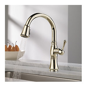 Delta Cassidy Single Handle Pull Down ..