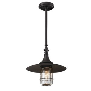 Humboldt 1-Light Outdoor Pendant