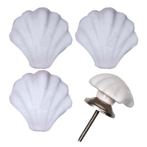 Seashell Novelty Knob (Set of 4)