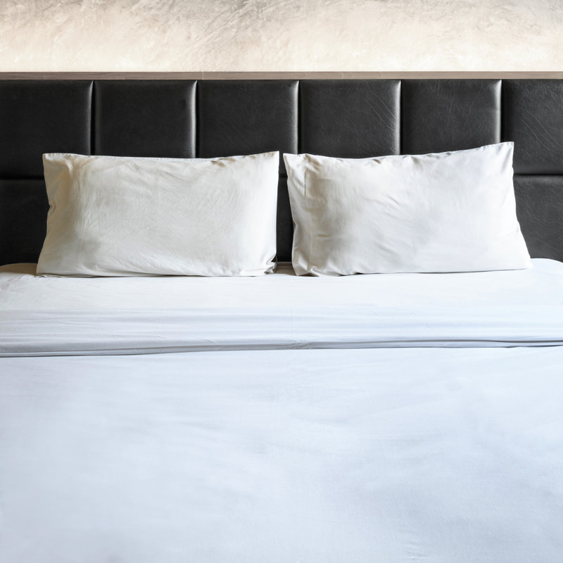 Red Barrel Studio Erler 1800 Thread Count Microfiber Sheet Set Erler 1800 Thread Count Microfiber Sheet Set