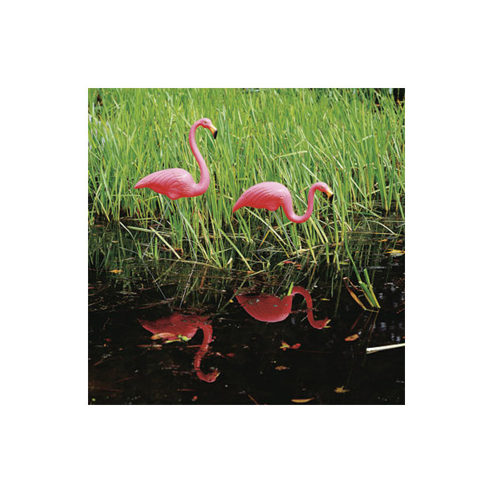 Union Products Don Featherstone Flamingos Statue Reviews Wayfair Ca Don Featherstone Flamingos Statue