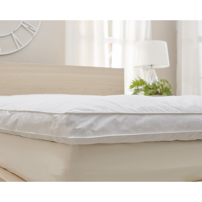 Alwyn Home Downtop 3" Feather Mattress Topper & Reviews Wayfair