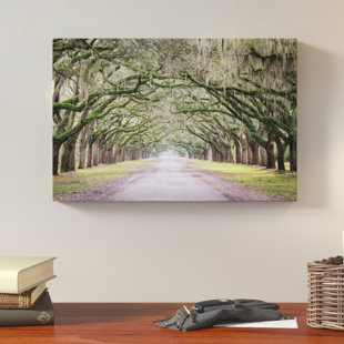 Spanish Moss Art Wayfair Quickview