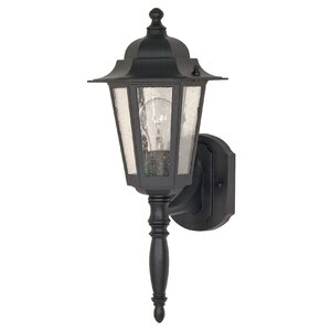 Mayer 1-Light Outdoor Wall Lantern