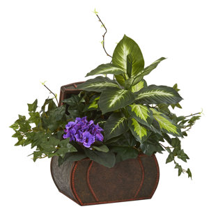 Silk African Violet Wayfair African Violet And Mix Greens Fl Arrangement In Chest