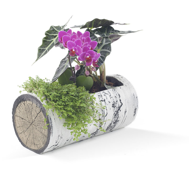 Surreal Birch Horizontal Polyurethane Foam Pot Planter & Reviews