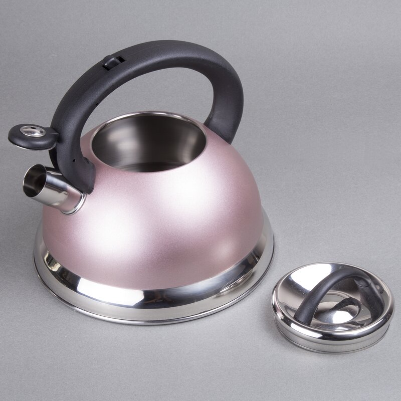 Creative Home Alexa 3 Qt Whistling Tea Kettle And Reviews Wayfair