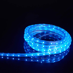 Orion Lasso LED Rope Light