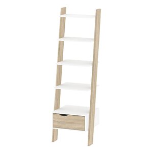 Mateer Ladder Bookcase