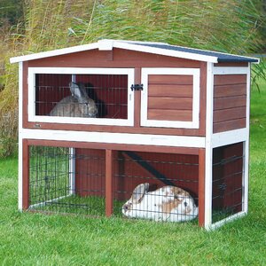 Macleod Small Animal Hutch