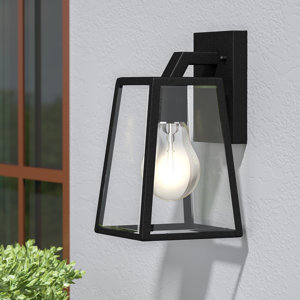 Sowders 1-Light Outdoor Wall Lantern