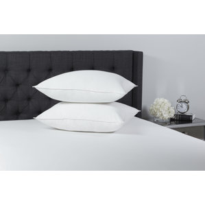 Beautyrest Breathe Clean and Clear? Polyfill Pillow (Set of 2) by Beautyrest