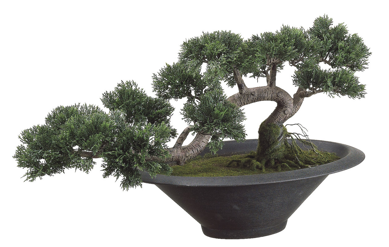 Tori Home Trailing Cedar Artificial Bonsai Desk Top Plant