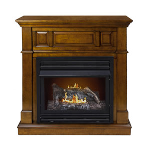 Pauline Dual Fuel Vent Free Wall Mount Gas Fireplace by Darby Home Co