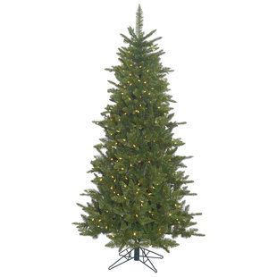 durango slim 75ft green spruce artificial christmas tree with white lights and stand - 75 Ft Slim Christmas Tree durango slim 75ft green spruce artificial christmas tree with white lights and stand - 75 Ft Slim Christmas Tree