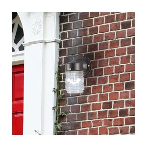 Raasch 1-Light Outdoor Sconce