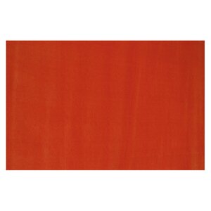 LA Kids Orange Area Rug