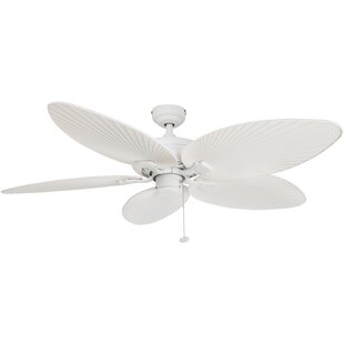 Hunter Fan 54 Caribbean Breeze 5 Blade Ceiling Fan Wayfair