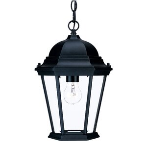 Bellver Traditional 1-Light Outdoor Hanging Lantern