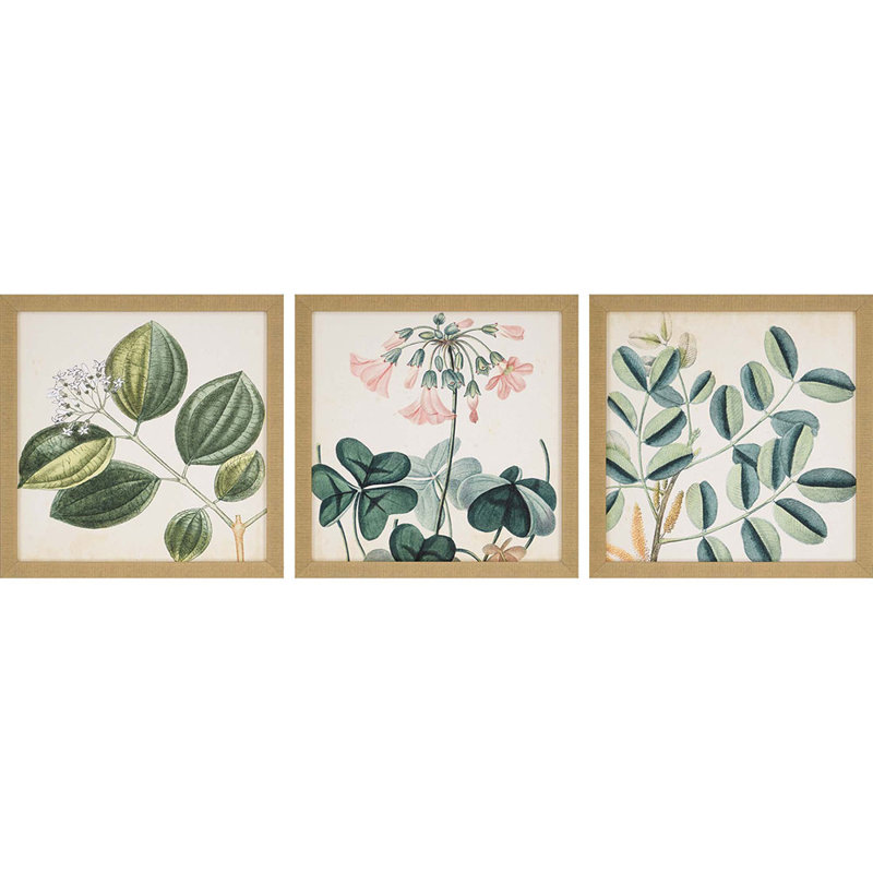 'Garden III' 3 Piece Framed Graphic Art Print Set & Reviews Joss & Main