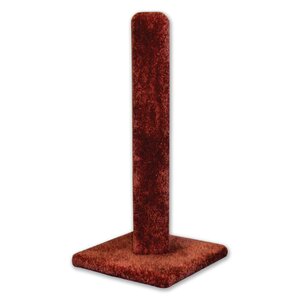 Carpet Scratching Post