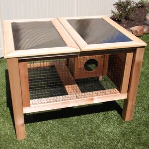 Rabbit Hutch