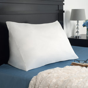 Hicks Down Alternative Standard Pillow by Remedy