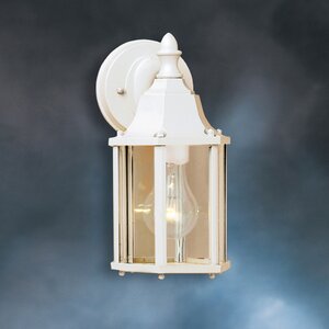 Bayou Traditional 1-Light Outdoor Wall Lantern