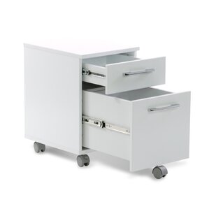 Filing Cabinets You'll Love | Wayfair