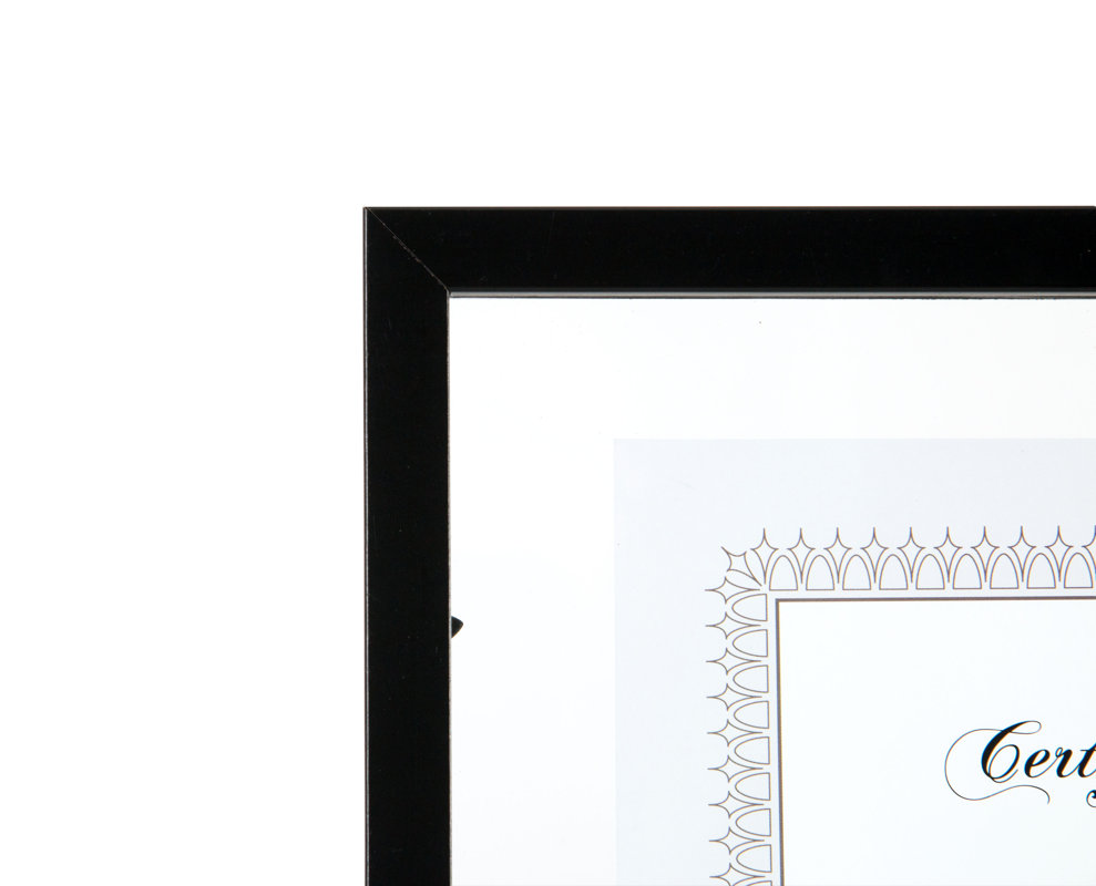 NielsenBainbridge Gallery Solutions Floating Document Picture Frame