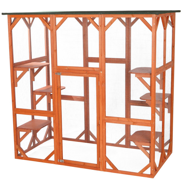 Outdoor Cages For Cats Wayfair