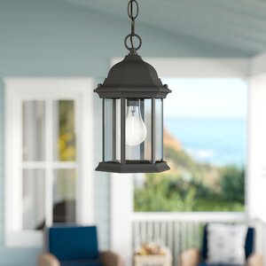 Frederica 1-Light Outdoor Hanging Lantern