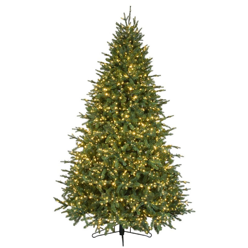 The Holiday Aisle Canadian Balsam Fir Artificial Christmas Tree With Canadian Balsam Fir Artificial Christmas Tree With Warm White Lights Remote