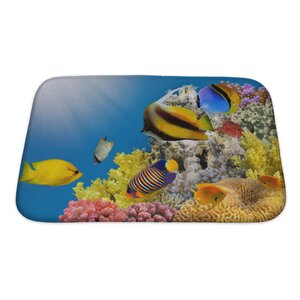 Fish Coral Colony on a Reef Top, Sea, Egypt Bath Rug