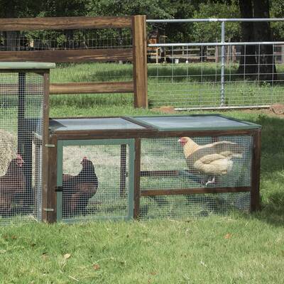 Hen House Ii Chicken Coop With Roosting Bar