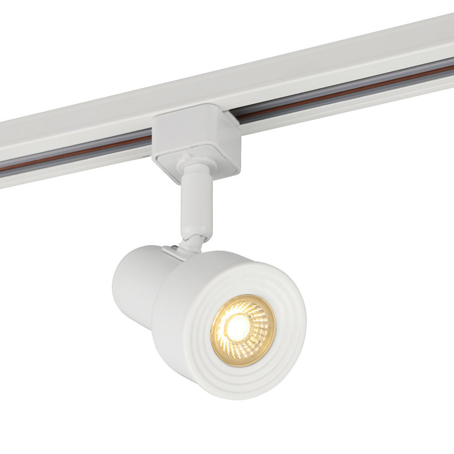 Catalina Lighting Wayfair Save