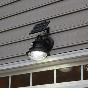 Jiera 1-Light Outdoor Jiera Light
