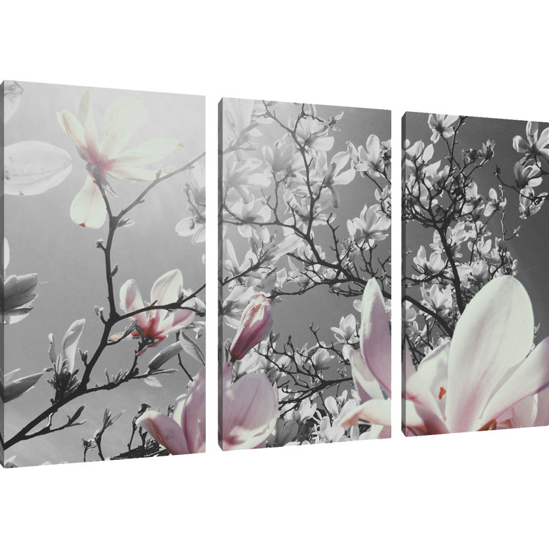 Pixxprint Beautiful Magnolia Flowers 3 Piece Wall Art Set ...