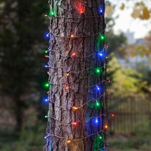 100 LED Christmas Trunk Wrap Light
