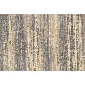 Discover Gray/Beige Area Rug