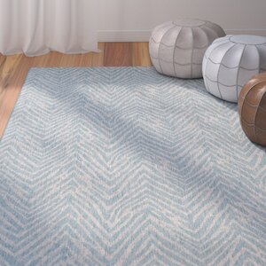 Fonwhary Aqua Indoor/Outdoor Area Rug