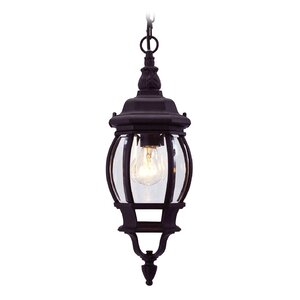 Kelly 1-Light Outdoor Hanging Lantern