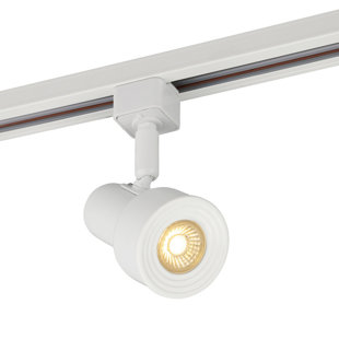 Catalina Lighting Wayfair Ca Save