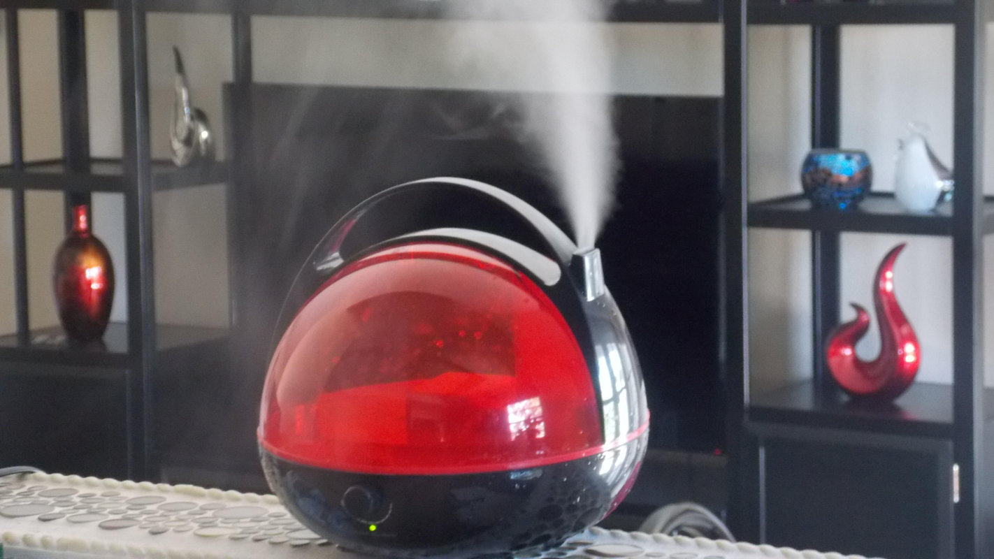 Canary Products 1 Gal. Warm Mist Tabletop Humidifier & Reviews Wayfair