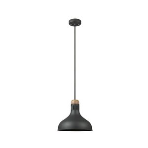 Davos 1-Light Mini Pendant