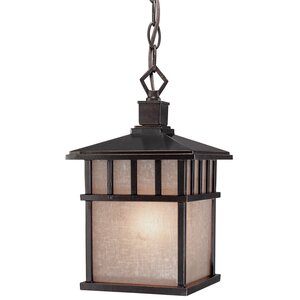 Teminot 1-Light Outdoor Hanging Lantern
