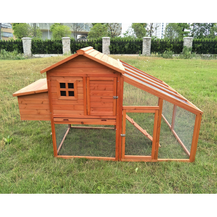 Fir Wood Hutch Chicken Coop With Roosting Bar And Chicken Run
