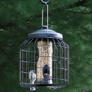 Backyard bistro bird feeder