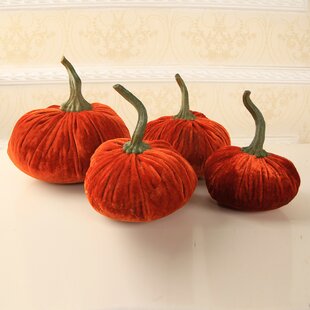 Orange Thanksgiving Decorative Accents You Ll Love Wayfair